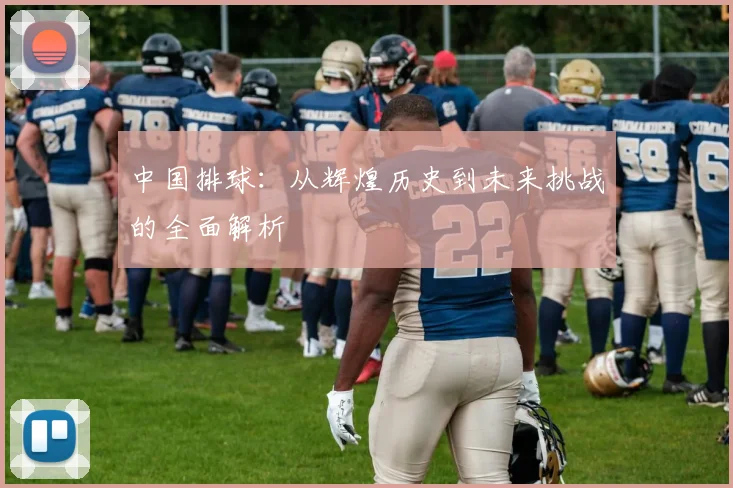 中国排球:从辉煌历史到未来挑战的全面解析