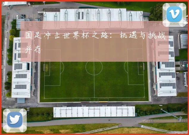 国足冲击世界杯之路:机遇与挑战并存