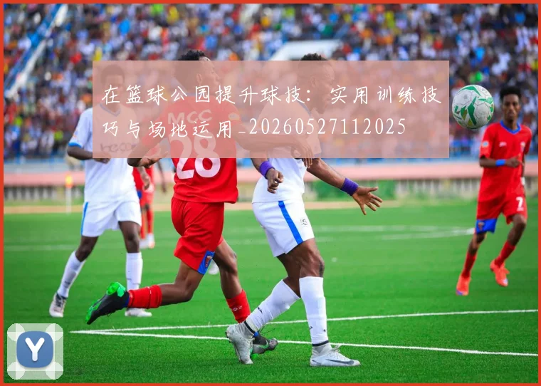 在篮球公园提升球技：实用训练技巧与场地运用_20260527112025